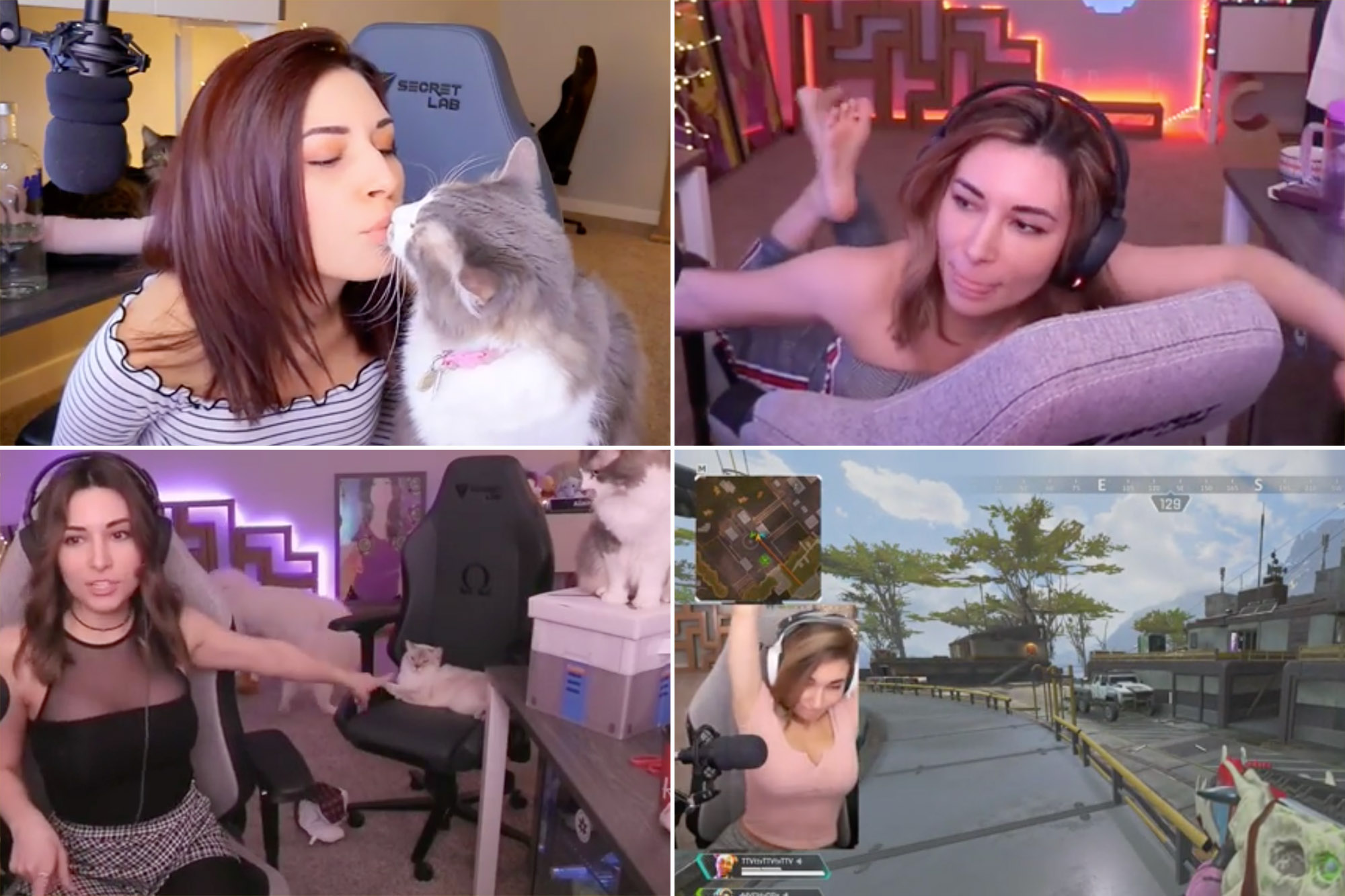 ann rourke recommends alinity divine hot pic