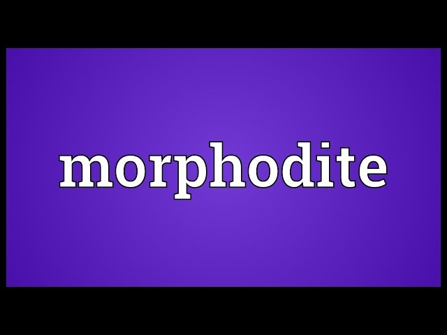 cory hearns recommends Pictures Of A Morphodite