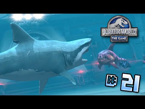 aaron ismail recommends The Sharks Lagoon Games