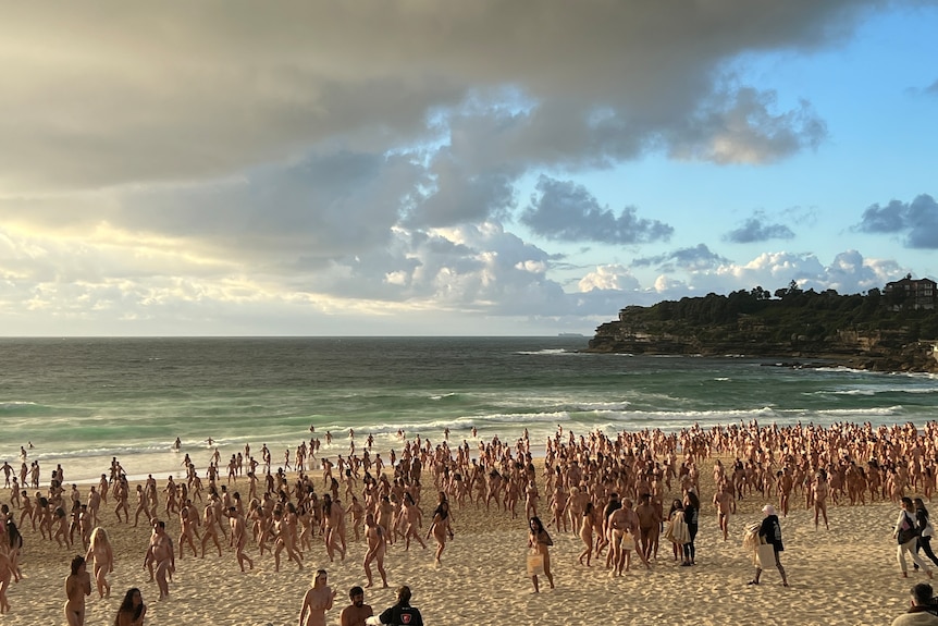 antoine meyer recommends Bondi Beach Nudes