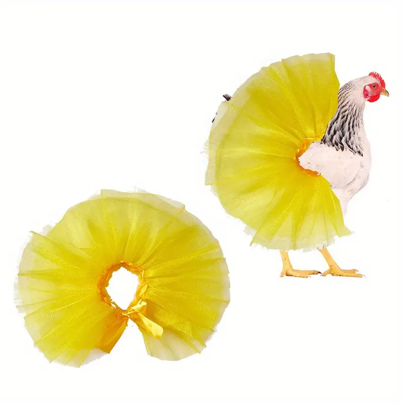 darren yew recommends chickens in skirts pic
