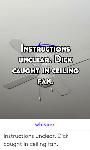 Instructions Not Clear Dick Stuck In Ceiling Fan tanaka pics