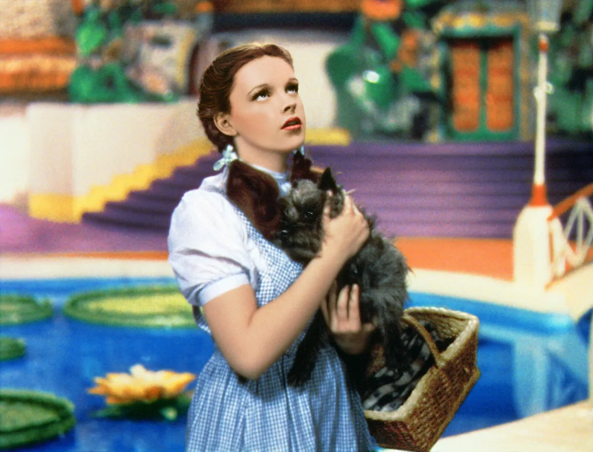 derrick cantrell add photo pictures of dorothy and toto