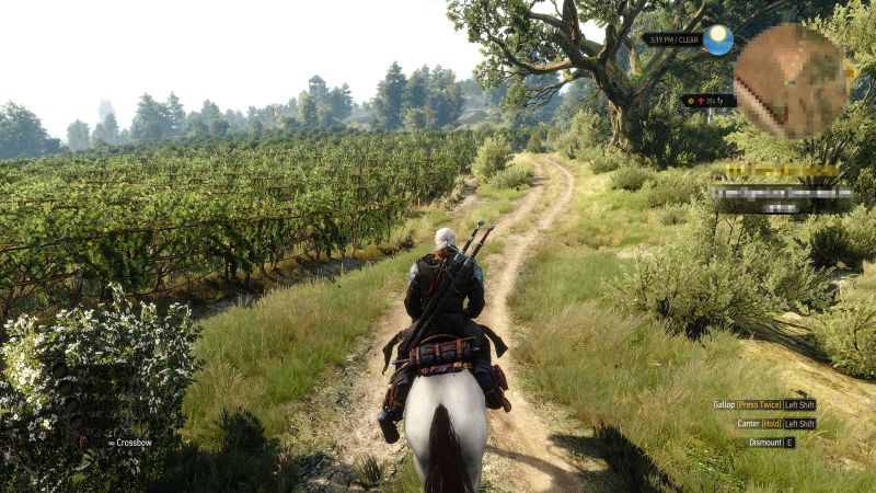 Best of Witcher 3 oculus rift