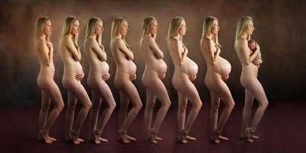 david sledge add nude pregnancy time lapse photo