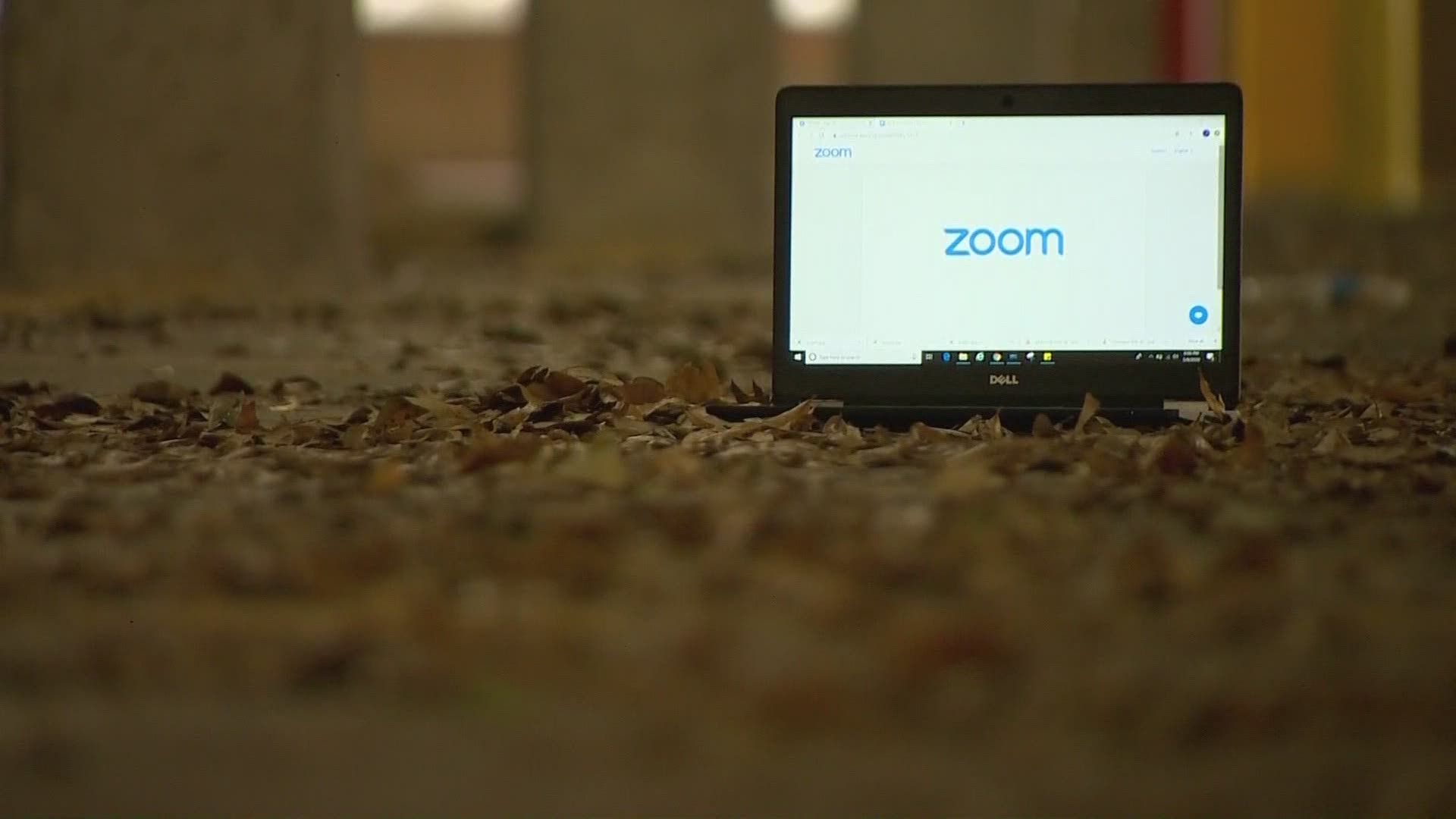 craig cowan recommends zoom call porn pic