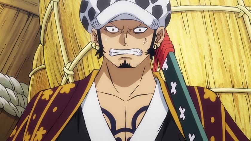 christina suarez recommends one piece anime law pic