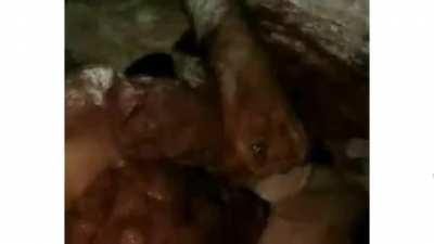 dominique miraglia add putrid sex object video photo