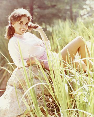 andrew look recommends Dawn Wells Nude Photos