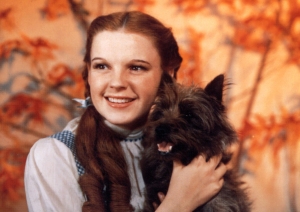 denise kirlew recommends pictures of dorothy and toto pic