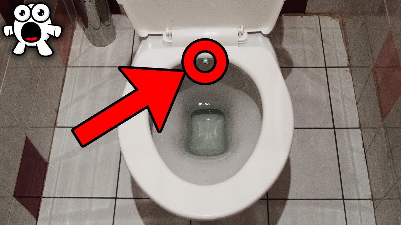 chelsea cain add photo hidden camera in restroom