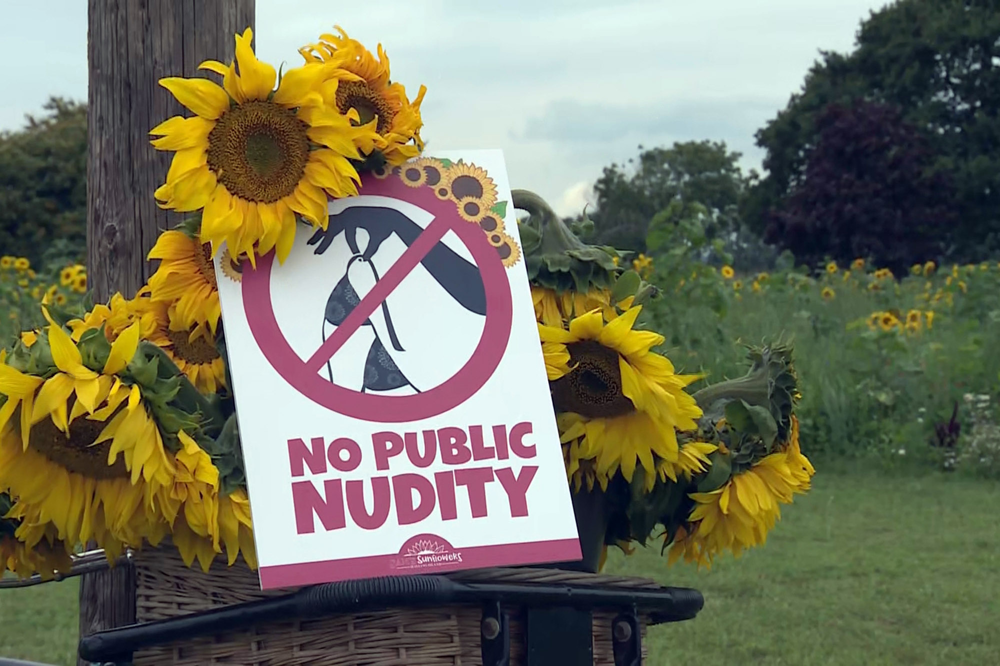 bryan lefevre recommends nude in a field pic