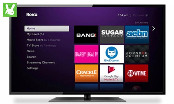 bryce teale recommends stream porn to roku pic