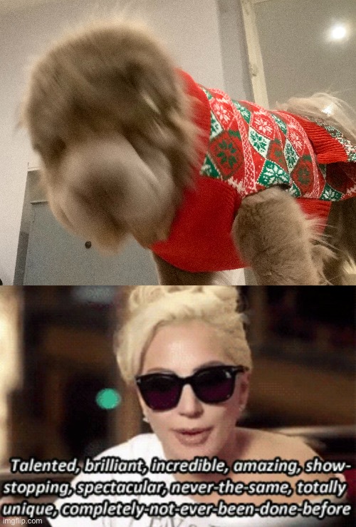 Lady Gaga Talented Gif jacket porn