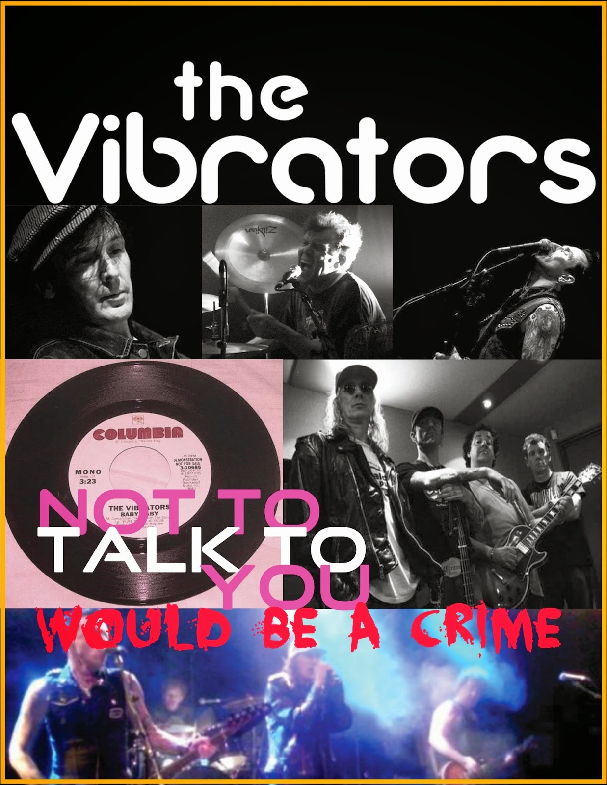 interview with a vibrator