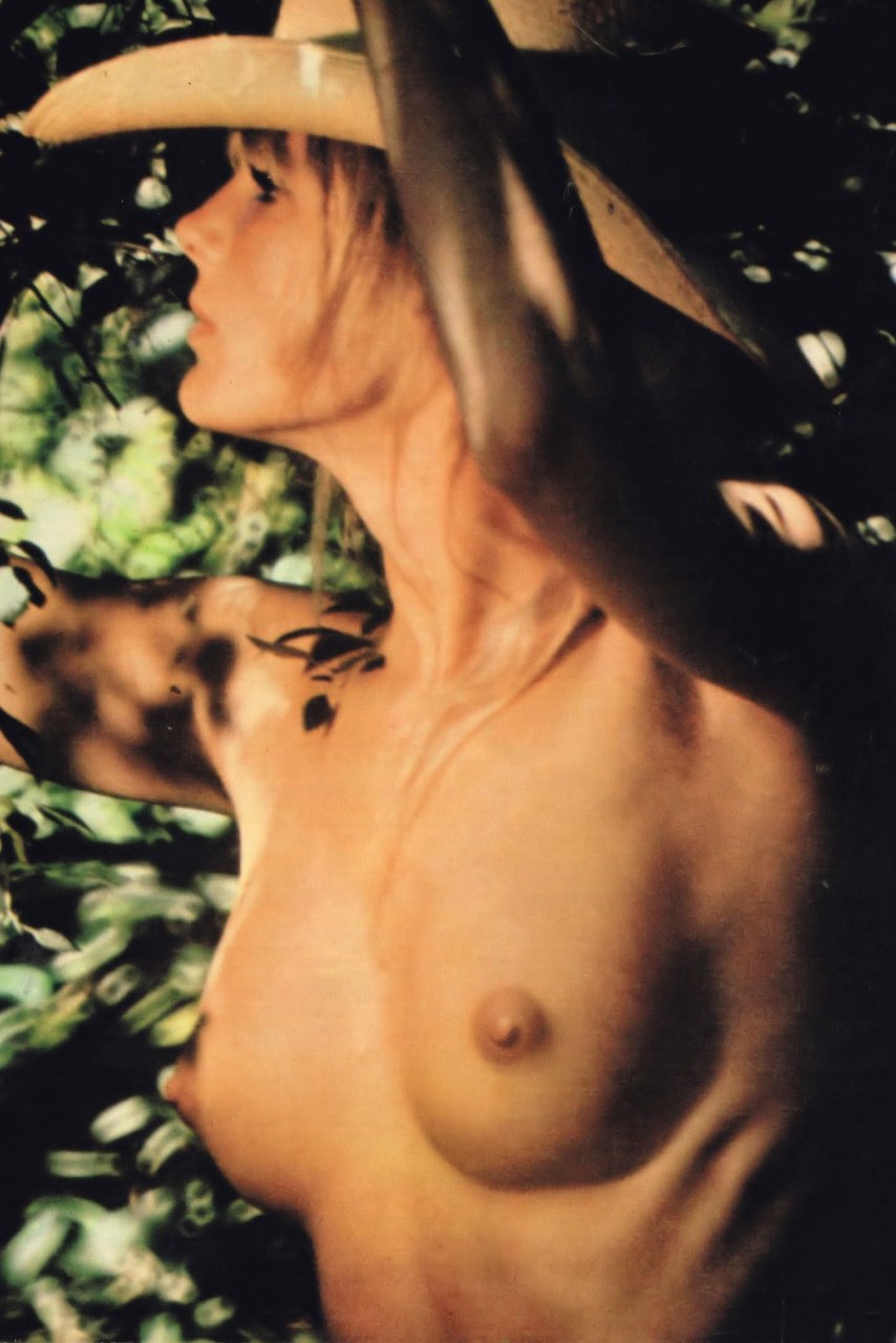derek monford recommends linda evans topless pic