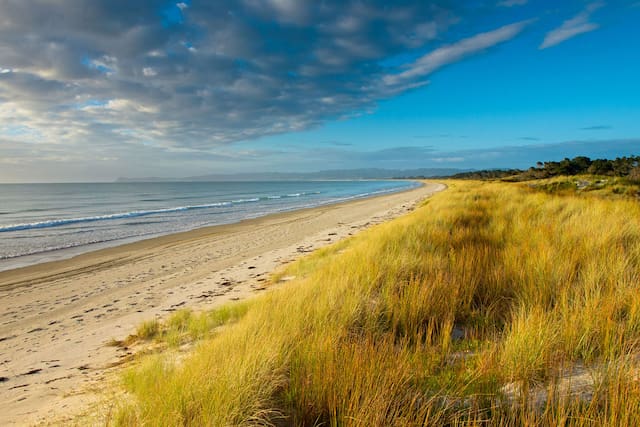 daniel boord recommends naked beach cabin pic