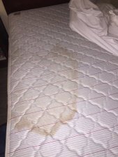 brittany brumbeloe recommends cum stains on my pillow pic