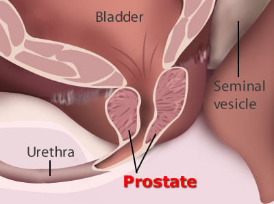 brandon stutts add external prostate massage techniques photo