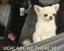 daniella dias recommends are we there yet gif pic