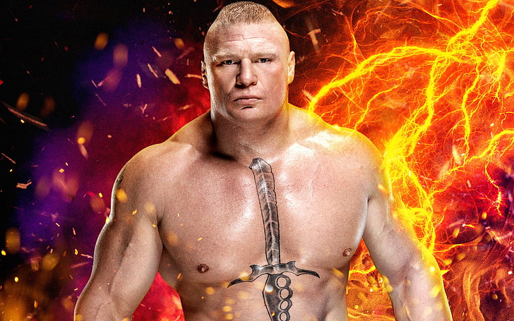 don enzo recommends brock lesnar hd videos pic