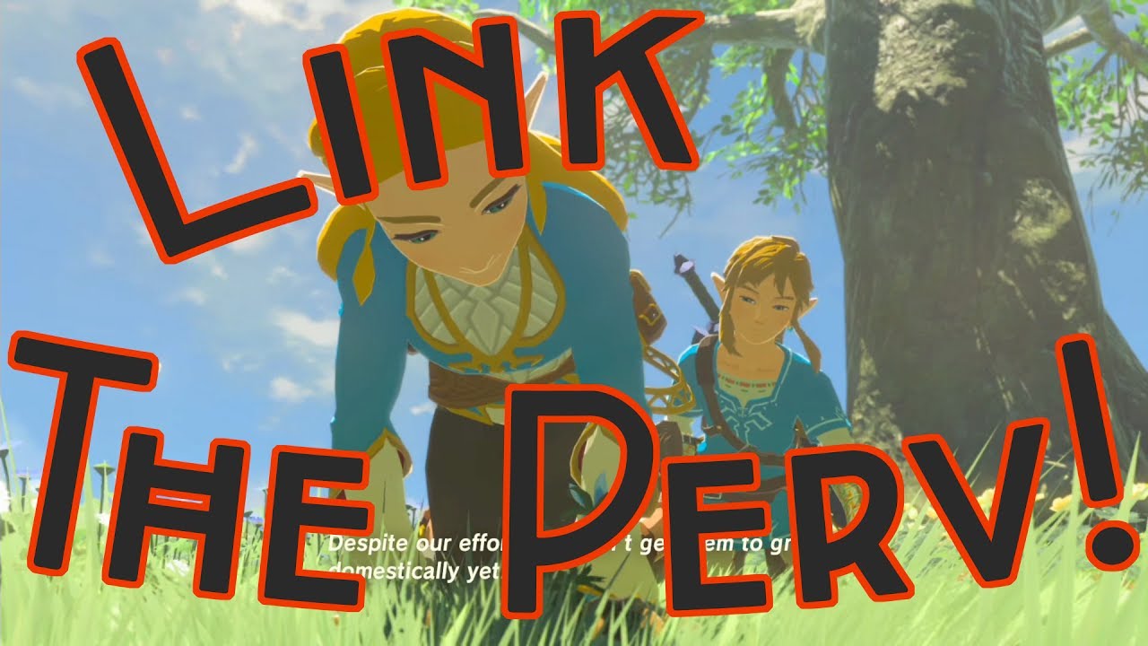 antonio antonelli recommends Legend Of Zelda Breath Of The Wild Zelda Butt