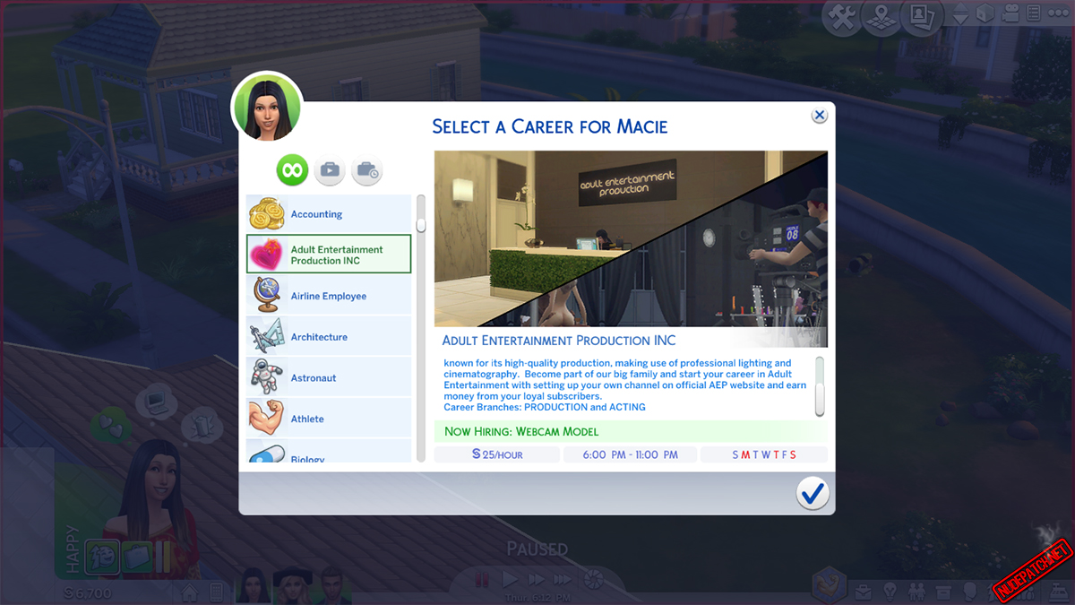 sims 4 porn career