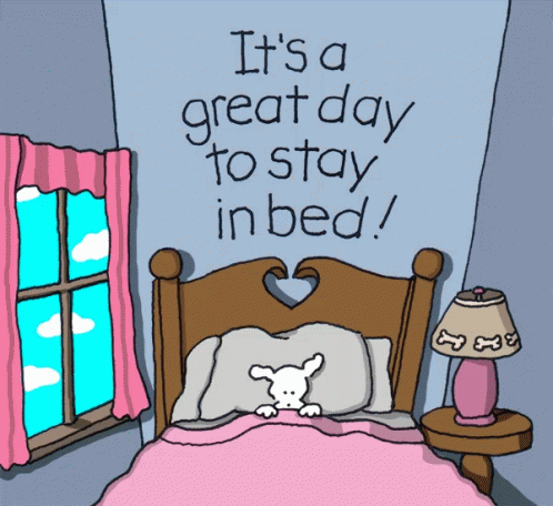 donald youmans recommends good morning in bed gif pic