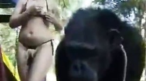daniel pavone share chimps fucking girls photos