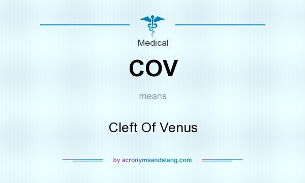 cheryl kaye richardson share what is cleft of venus photos