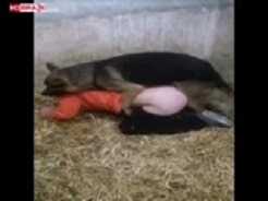 brenda munroe recommends sexo con animales videos pic