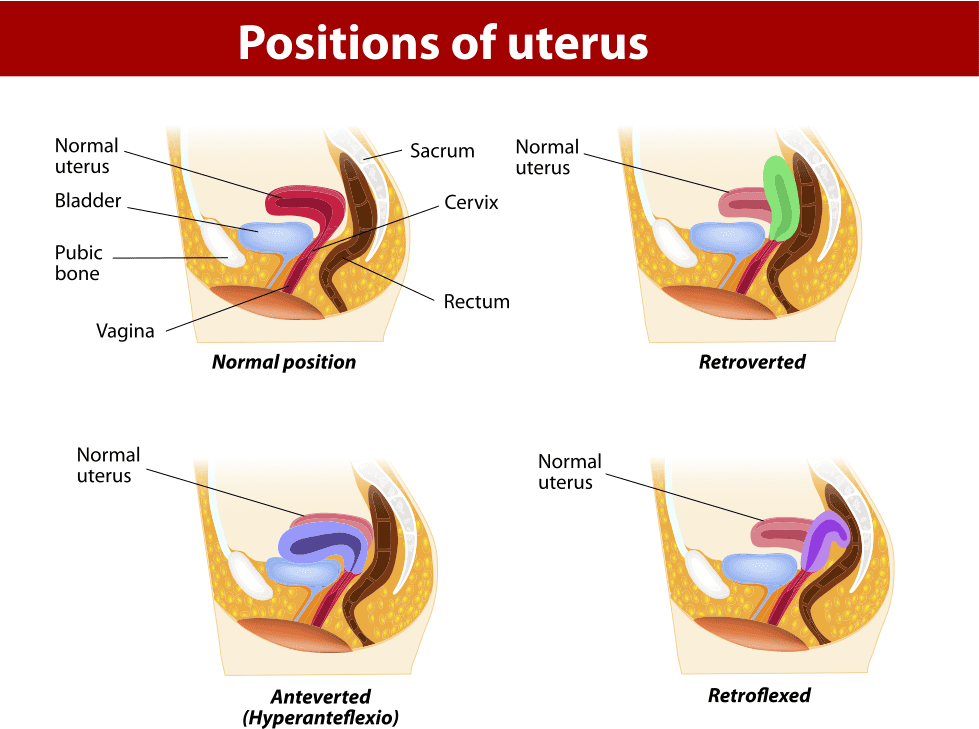 biren parmar recommends Positions To Avoid Hitting Cervix
