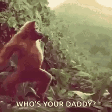 debbie tschida share who is your daddy and what does he do gif photos