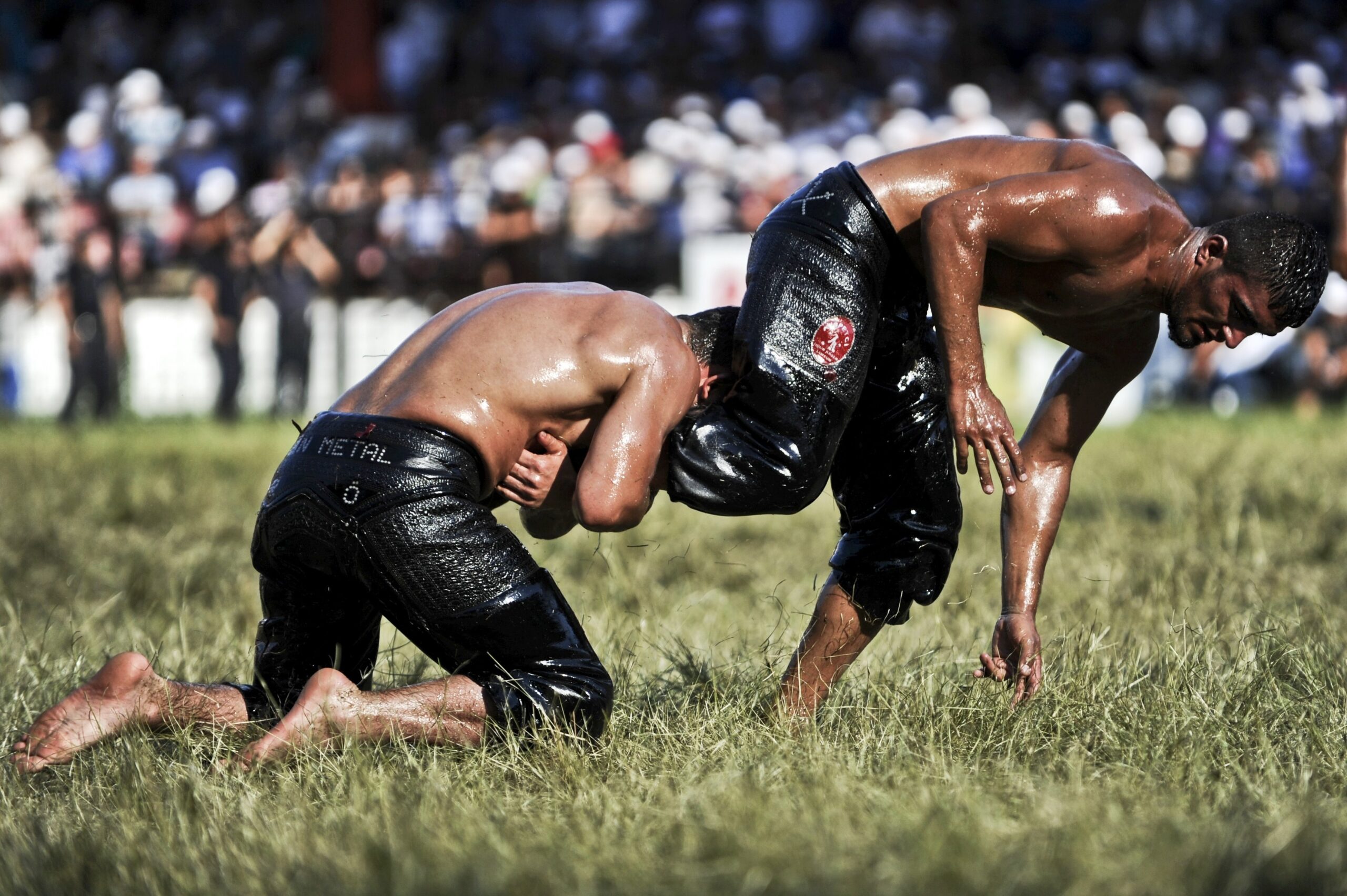 dawn deleon recommends mixed oil wrestling pic