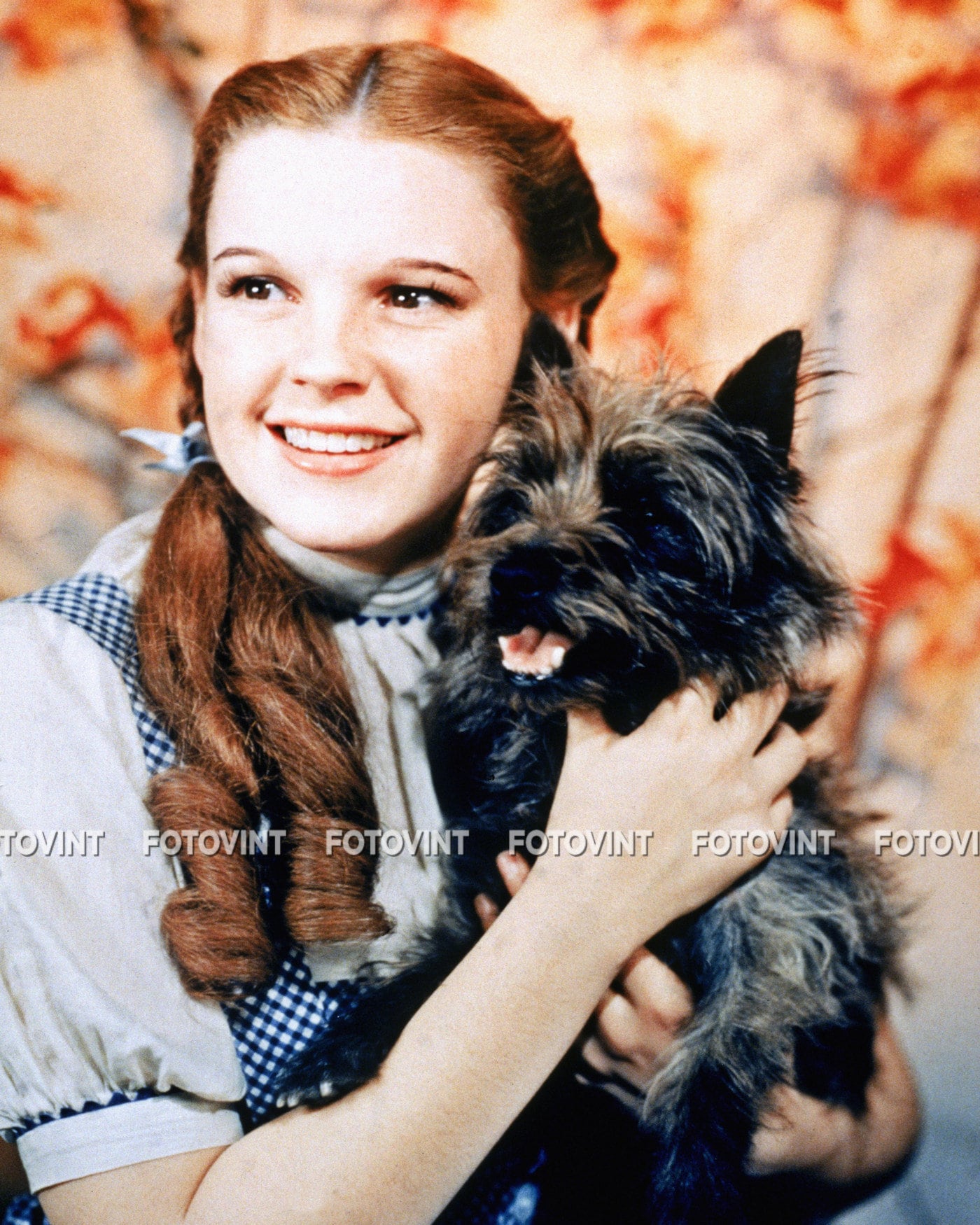 pictures of dorothy and toto