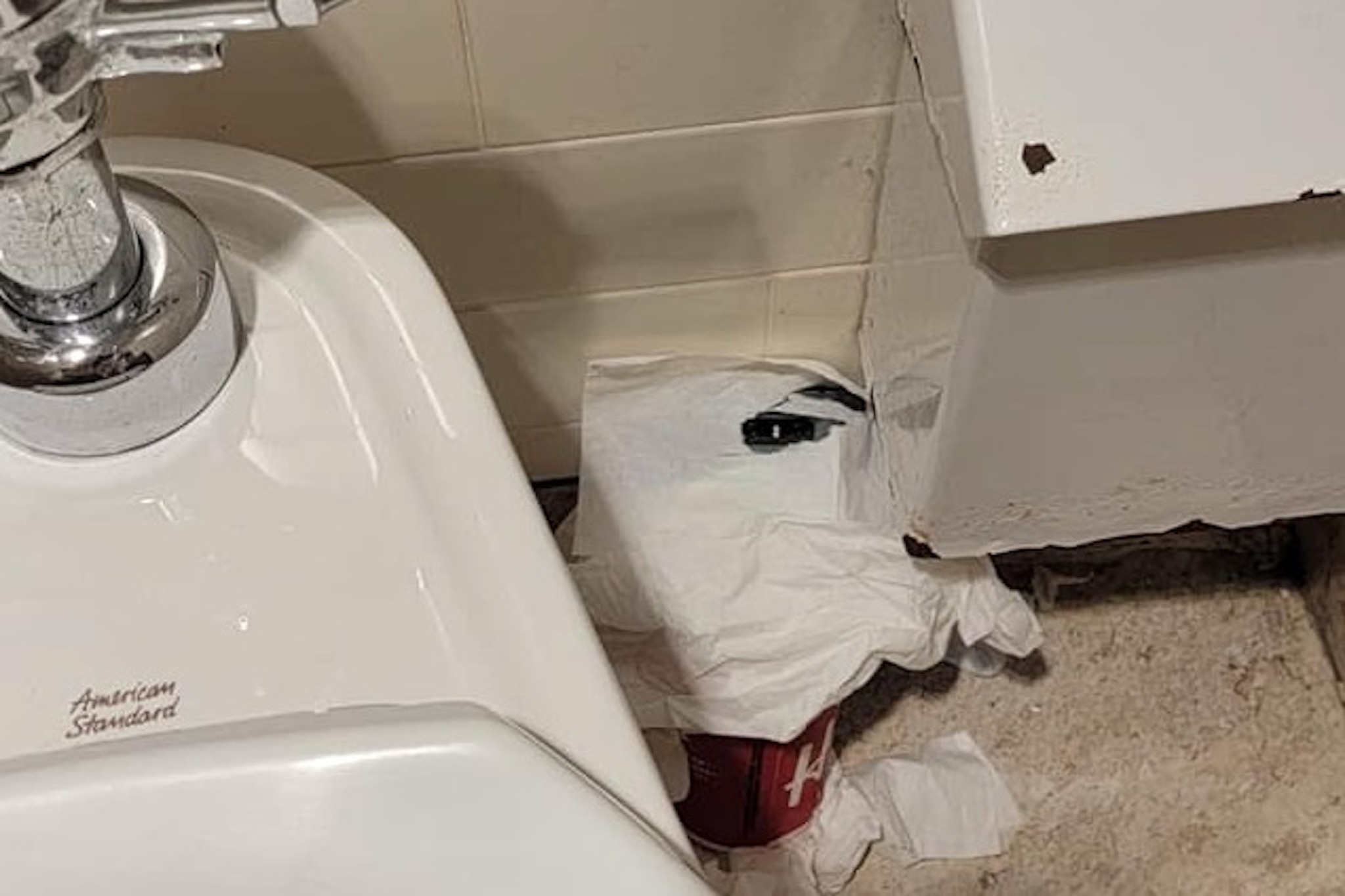 bob illig recommends secret camera in toilet pic