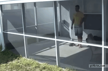 Best of Jumping through window gif
