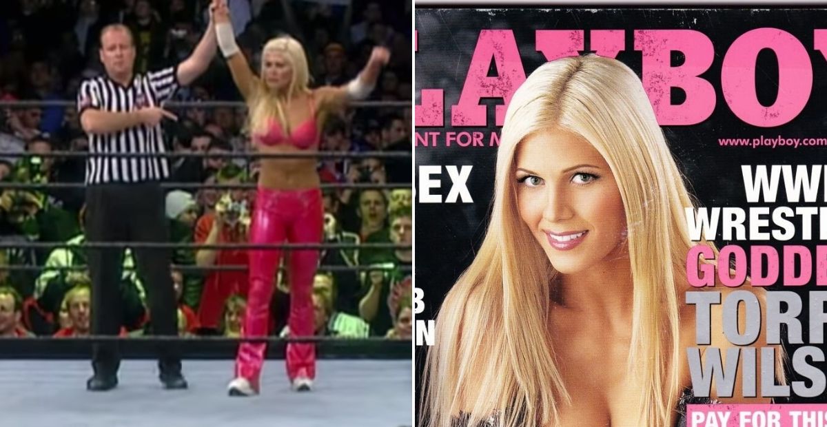 ali bubshait recommends Wwe Divas Who Did Playboy
