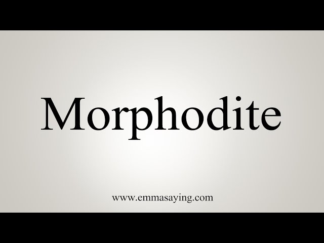 images of a morphodite