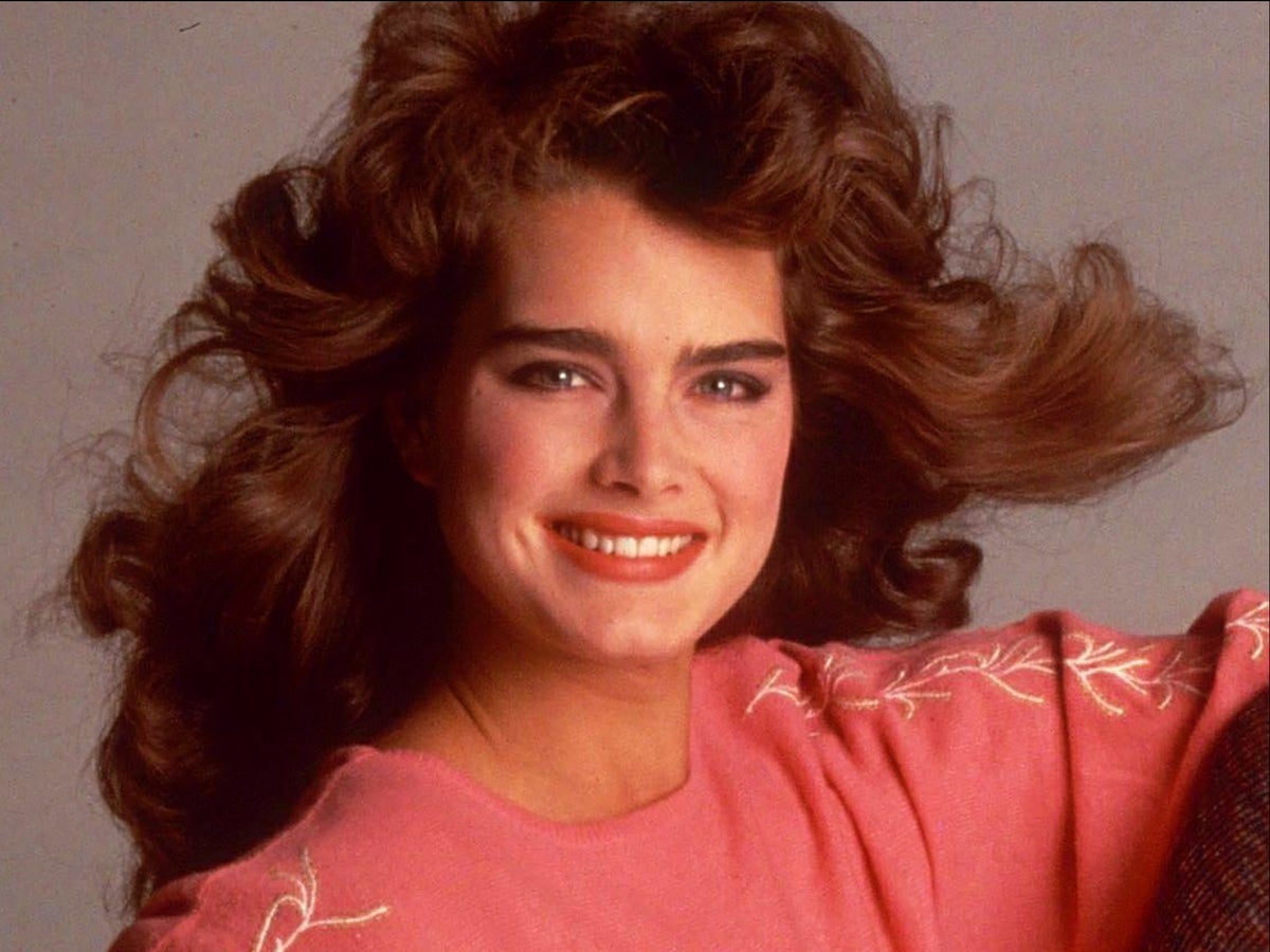 cody pomeroy recommends Brooke Shields Mr Skin