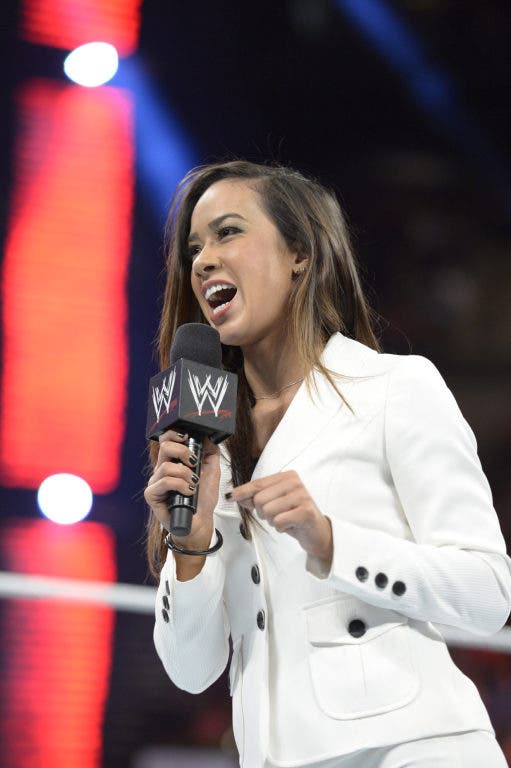 annette brooks recommends Wwe Aj Lee Song