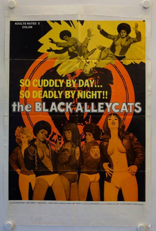 aaron gillingham recommends black alley cats movie pic