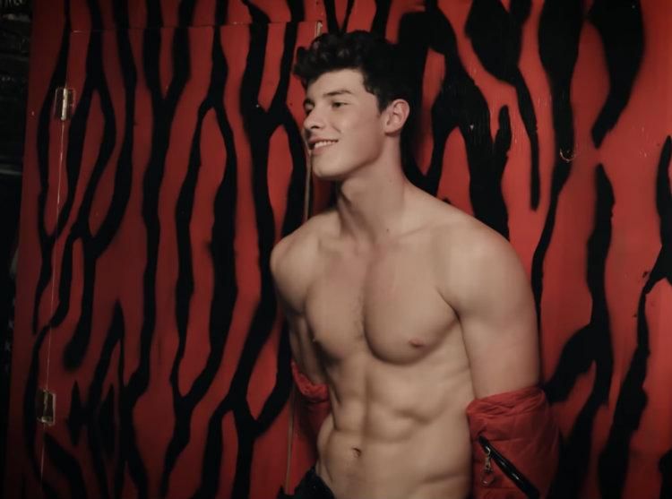 dan diliberto recommends shawn mendes porn pic