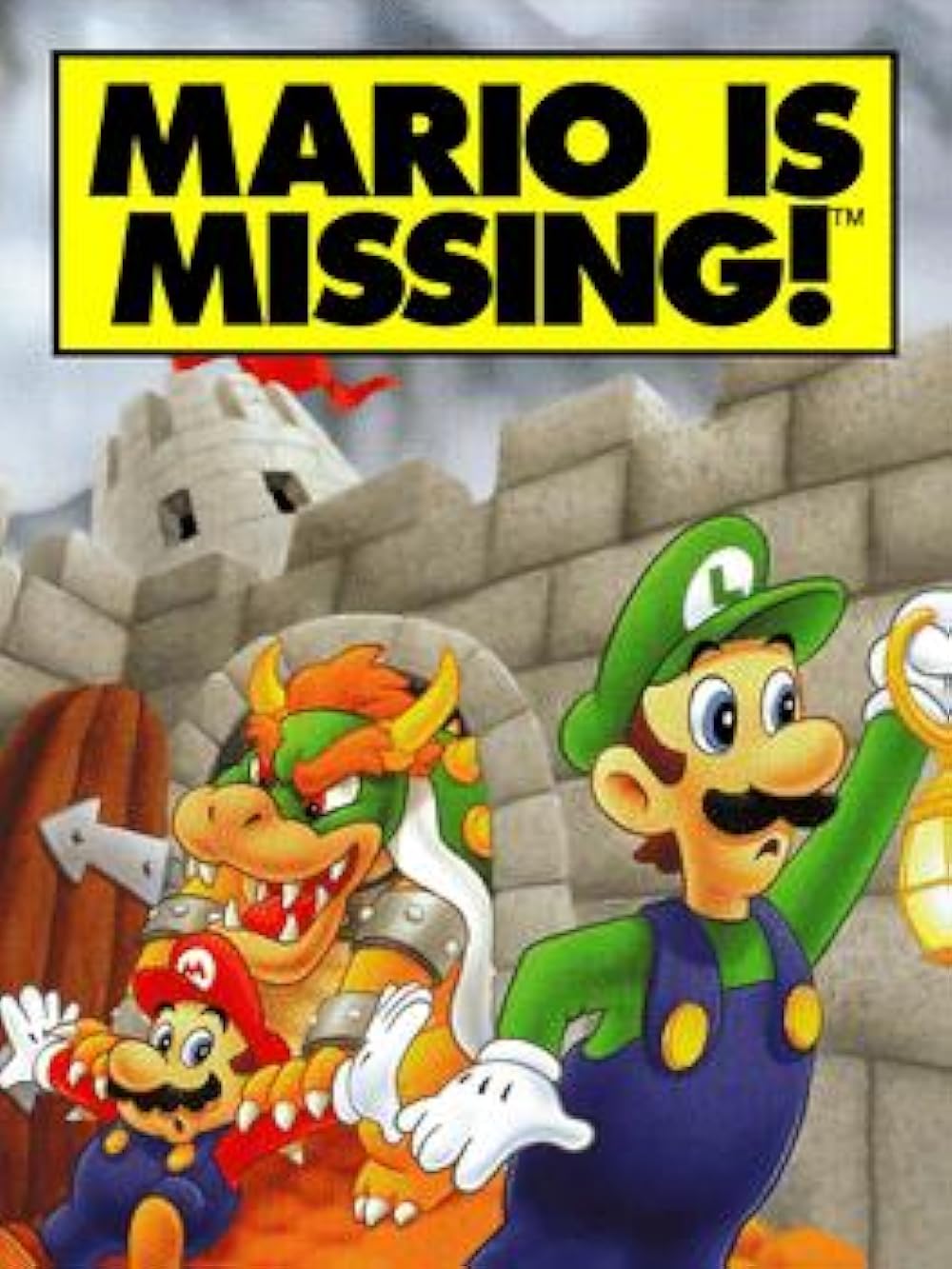 bart willemse share princess peach mario is missing photos