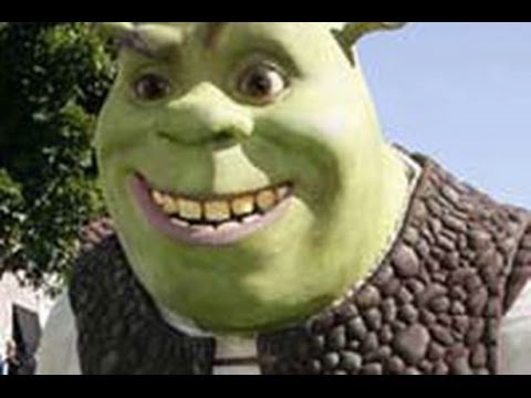 Shrek Is Life 4 no credit