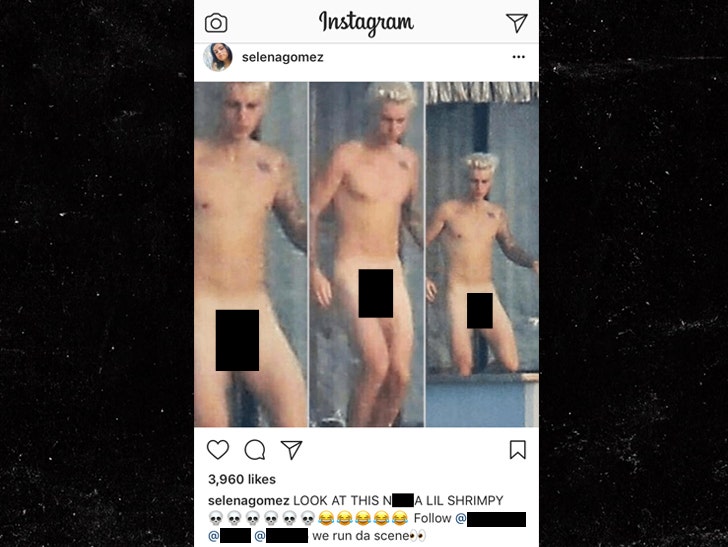 dan bodycomb share naked women wrestling porn
