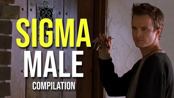 shemale on male compilation