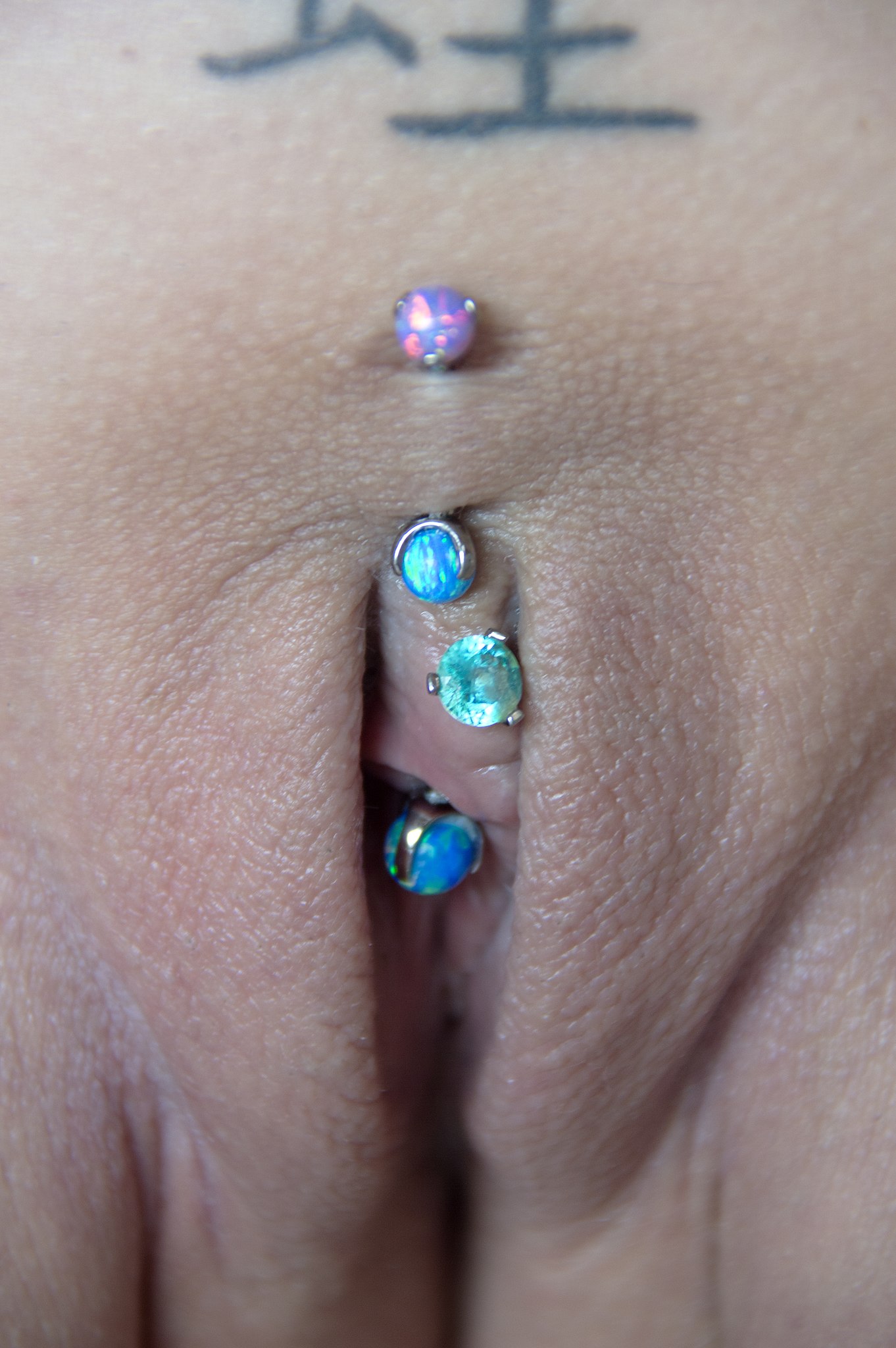 beverly roeder add photo vaginal piercing pictures