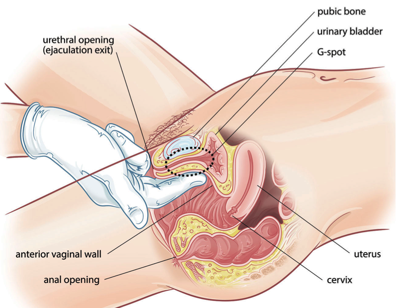 brittney rodrigues add photos of the g spot photo