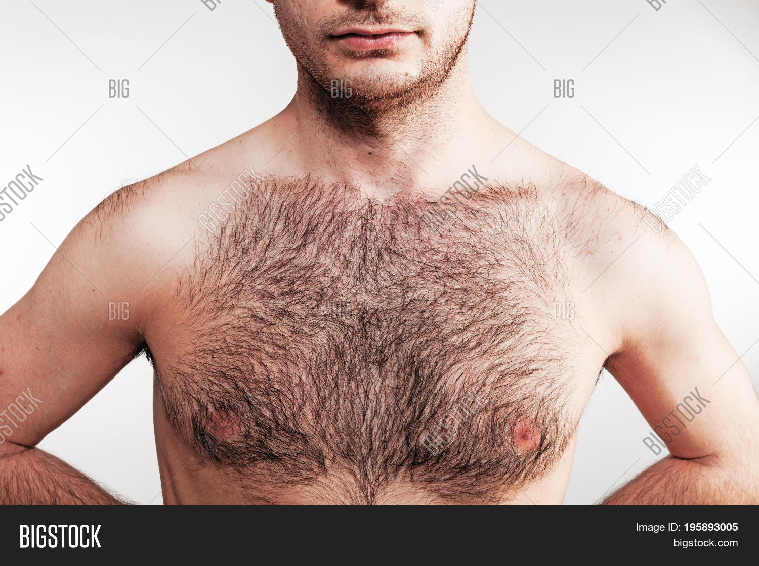china dollz recommends Nude Men With Hairy Chests